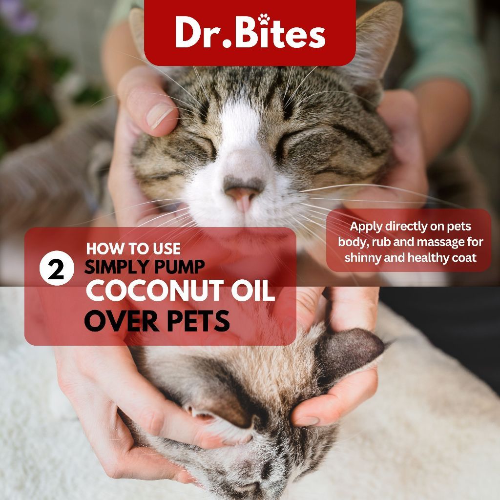 Dr. Bites Premium Extra Virgin Coconut Oil for Cat & Dog [100ml]