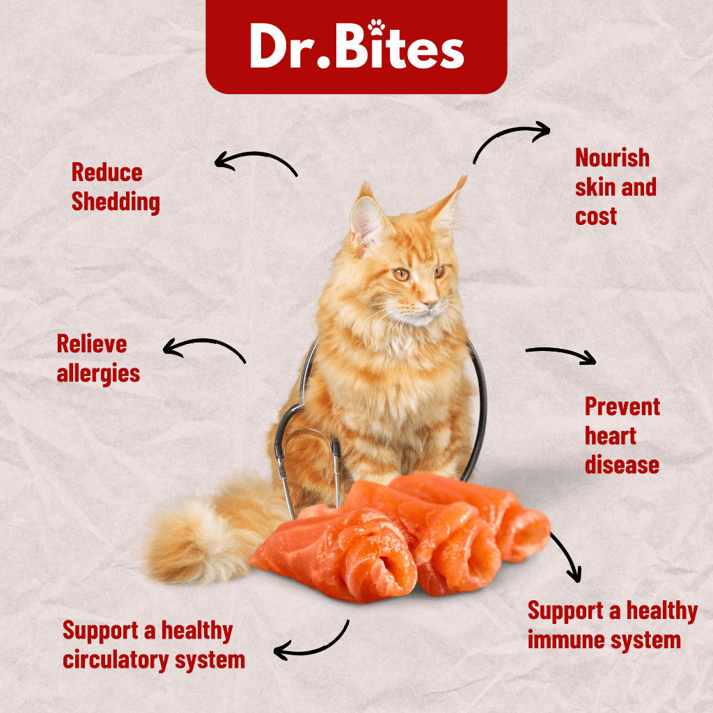 Dr. Bites Premium Wild Alaskan Salmon Oil for Cat & Dog [100ml]