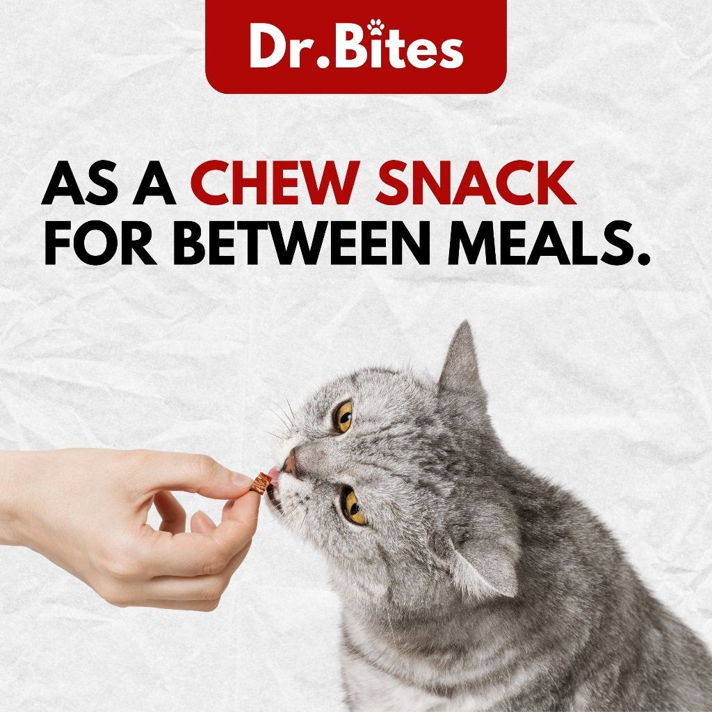 Dr.Bites Chicken & Beef Mini Chew Treats Chewy Snack