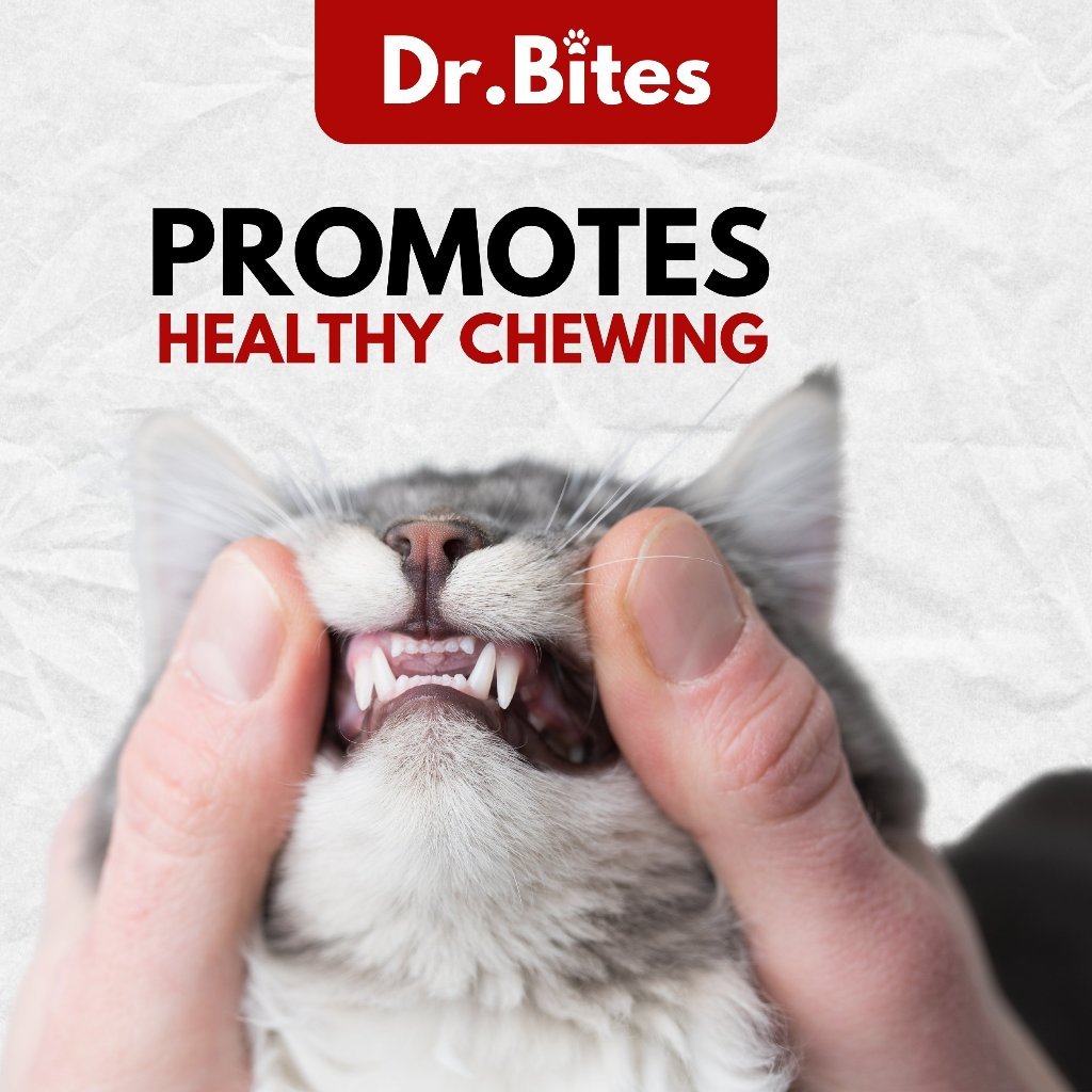 Dr.Bites Chicken & Beef Mini Chew Treats Chewy Snack