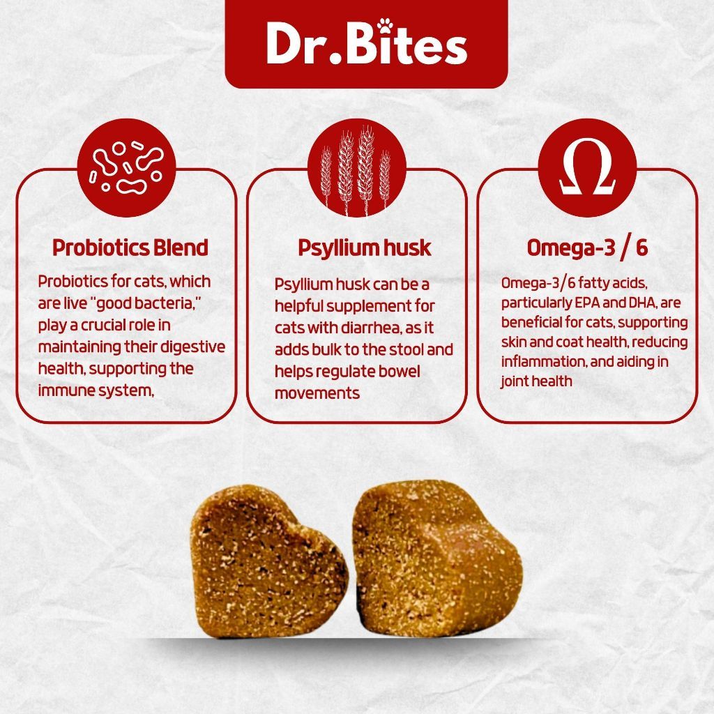 Dr. Bites Probiotics Bites Soft Chews 50 Chews (75g)