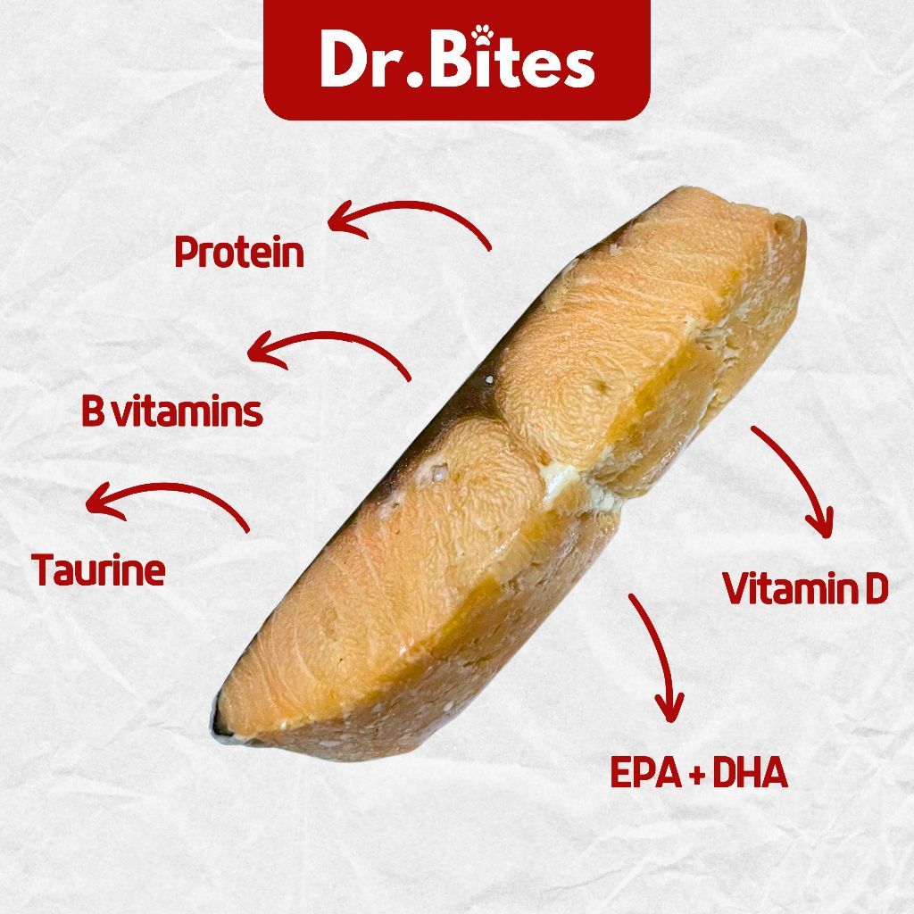 Dr. Bites Cooked Salmon Fillet [20g]