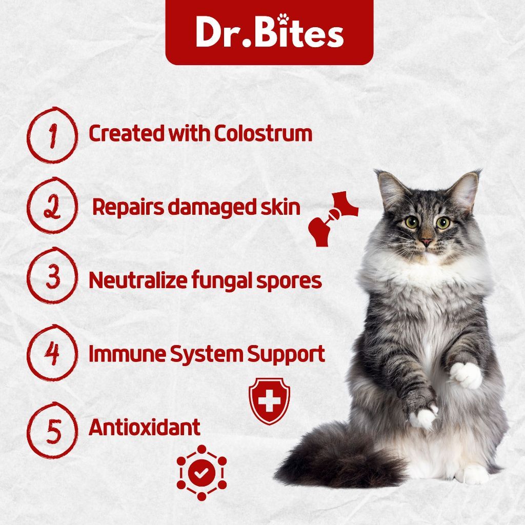 Dr. Bites Ringworm + Fungal and Skin Infections Soft Chews 50 Chews (75g)