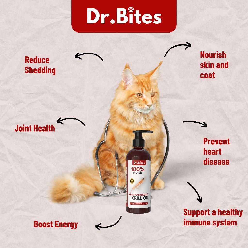 Dr. Bites Premium Wild Antartic Krill Oil for Cat [100ml]