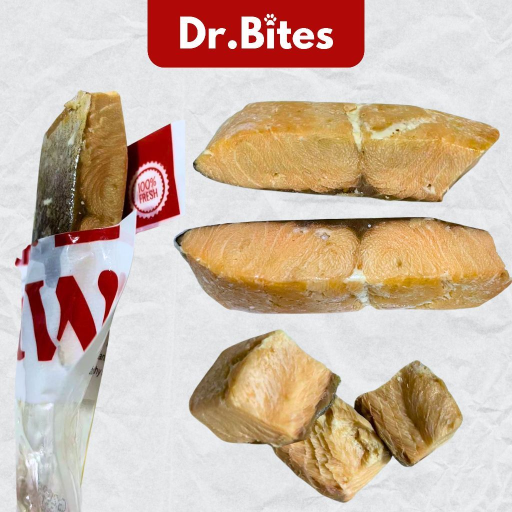 Dr. Bites Cooked Salmon Fillet [20g]