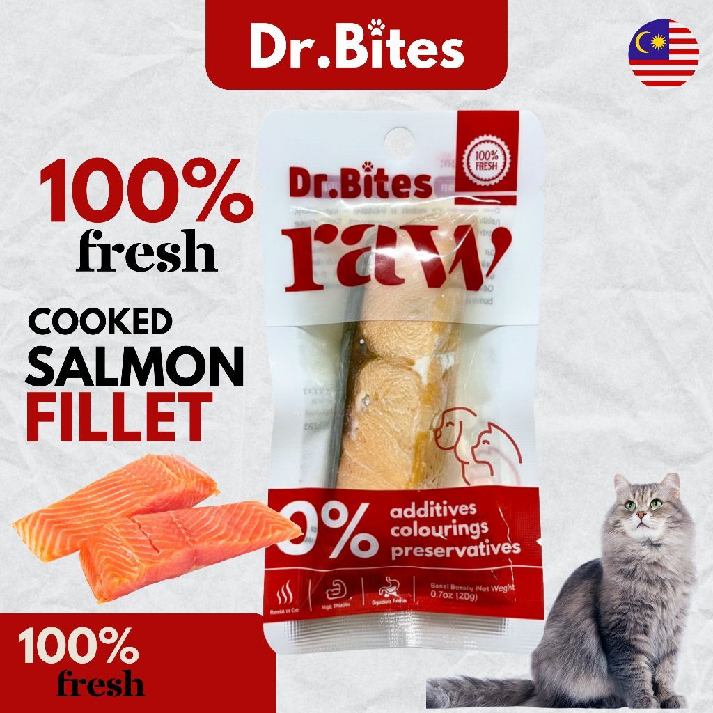Dr. Bites Cooked Salmon Fillet [20g]